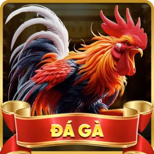 Biểu tượng các phương thức thanh toán tại gacam67 tải app
